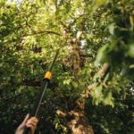 FISKARS - univerzalne teleskopske vrtnarske škarje | UPX86, 1023624 - slika 6