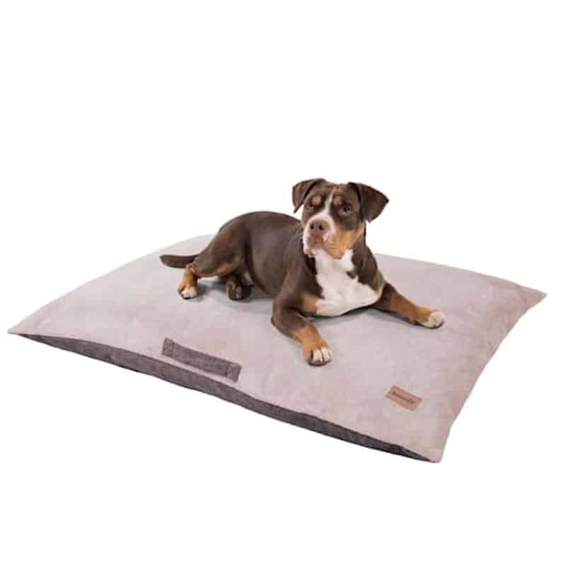 BRUNOLIE – pasja postelja, ležišče za psa | HENRY – XL, bež barva - slika 1