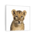 KLARSTEIN - infrardeči grelec | WONDERWALL SMART, 350 W, LEVJI MLADIČ