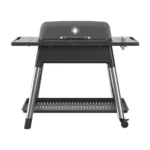 Plinski žar - EVERDURE | FORCE, 2-brenerski žar